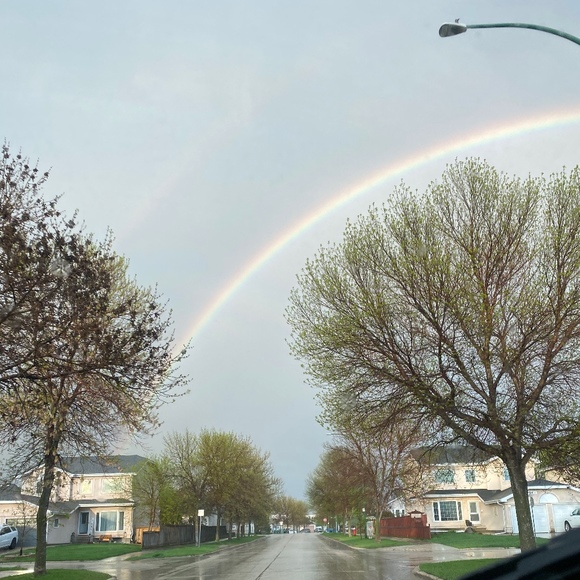 Meet your Posher, Ally - Picture 1 of 1